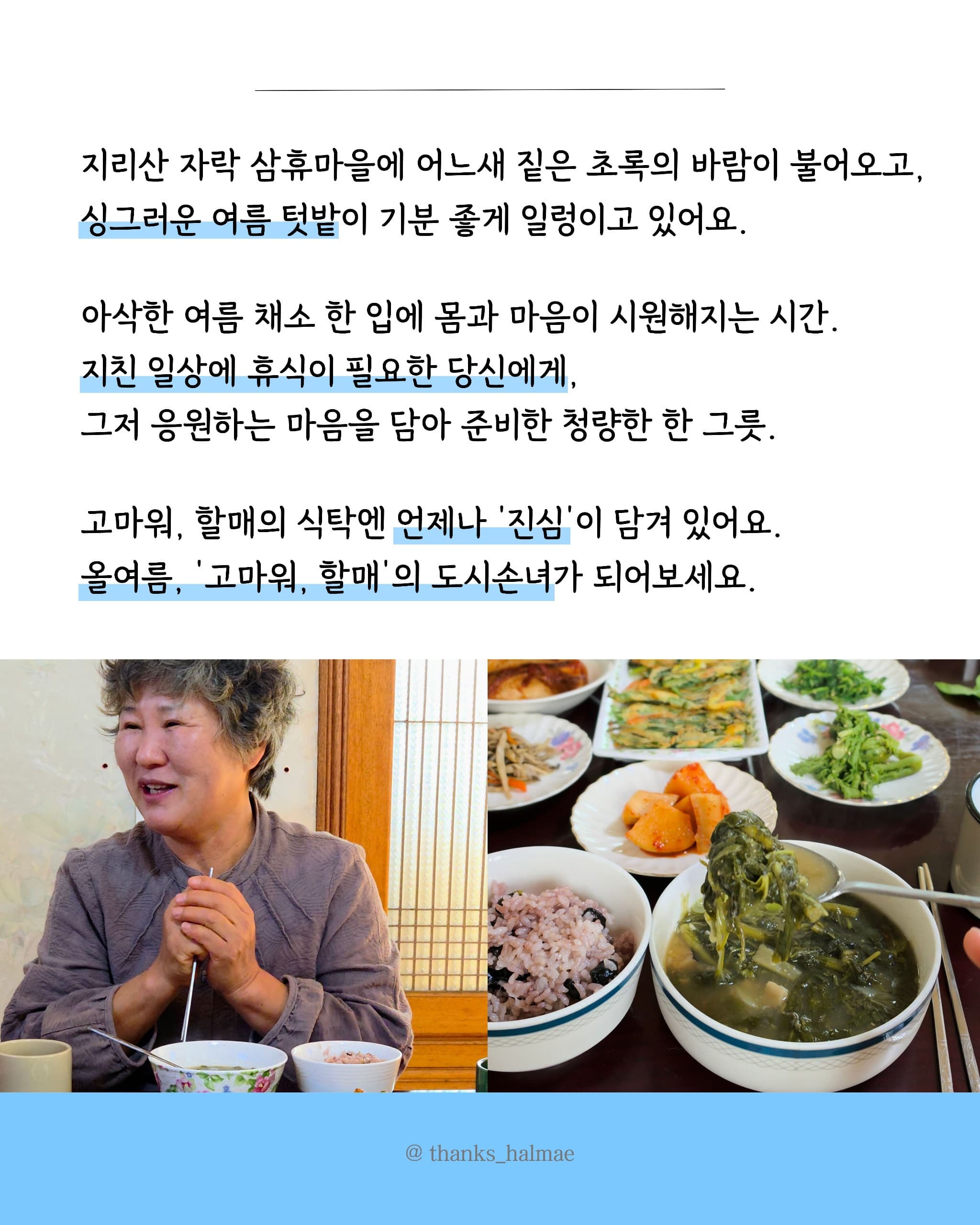 2026.03.30. 여름 이야기 : 도시손녀 모집